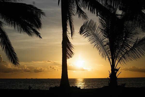 Clubs de vacances : le guide complet pour un séjour sans soucis