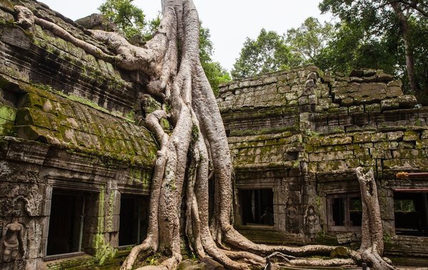 Comment organiser une visite des temples anciens d'Angkor Wat au Cambodge ?